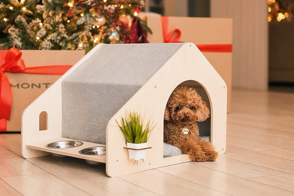 Фотосессии для брендов и бизнеса в Санкт-Петербурге. Катя Кудринская. Фотограф на мероприятие СПб. Семейный фотограф