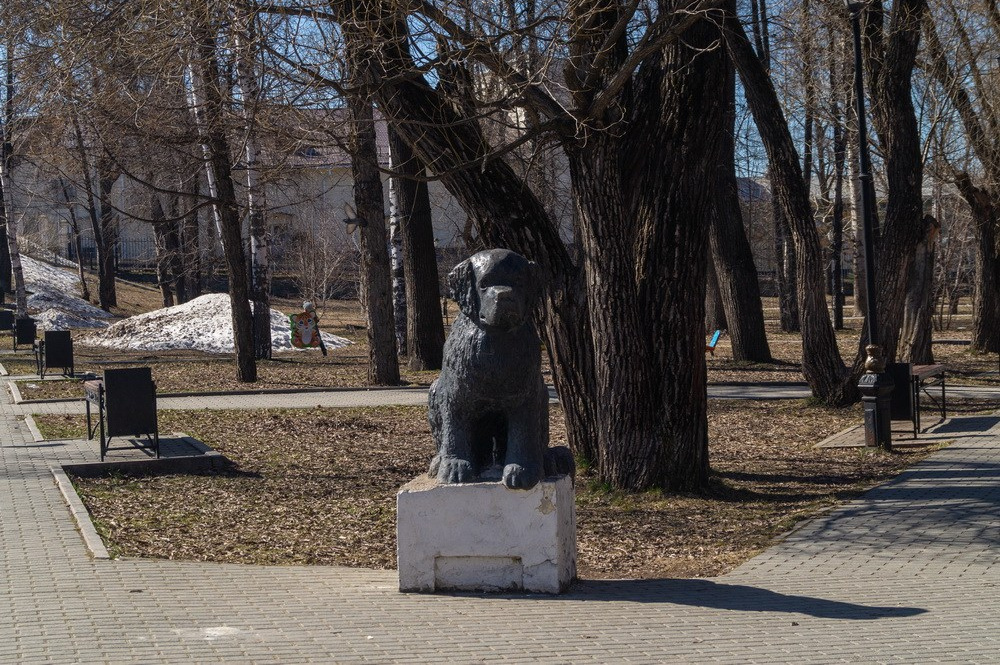 фото на улицах