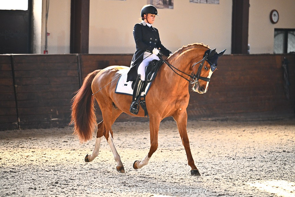 2025.03.29 — Кубок КСК «Отрада» по выездке в помещении. ТУРНИРНАЯ КОННАЯ ФОТОГРАФИЯ, Руднева Ольга и Евгений Адеев