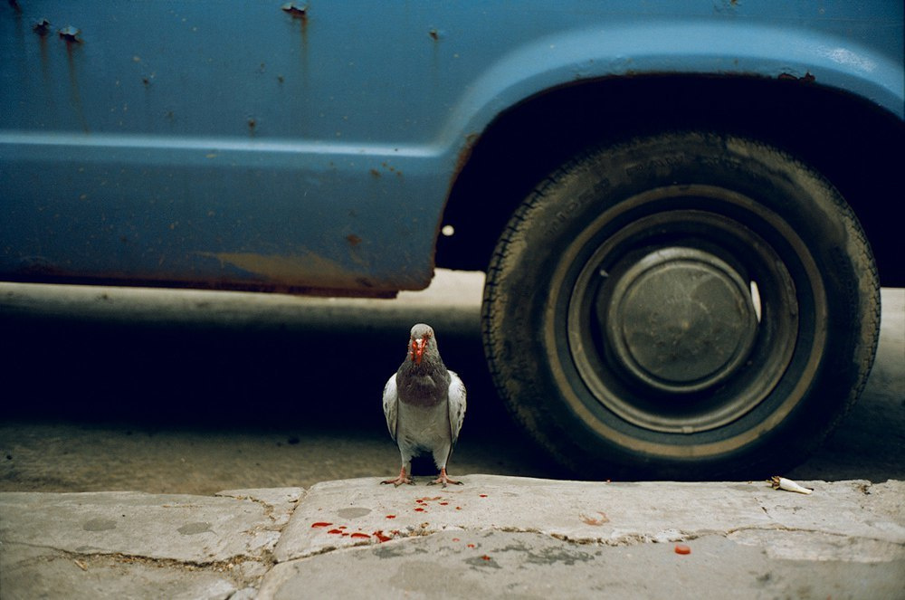 Фотограф Денис качественно делает выпускной альбом в Ростове-на-Дону. Выпускные альбомы, фотограф Денис Зимин в городе Ростове-на-Дону