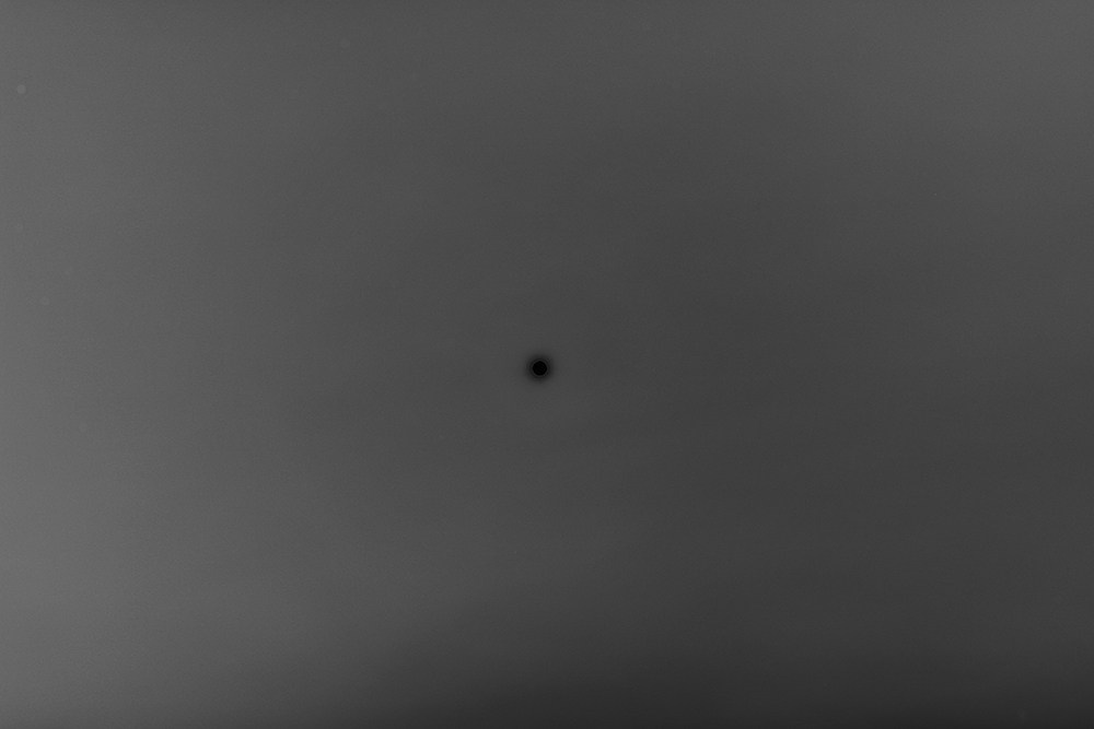 Сибирский путь. Julia Altukhova, multimedia artist