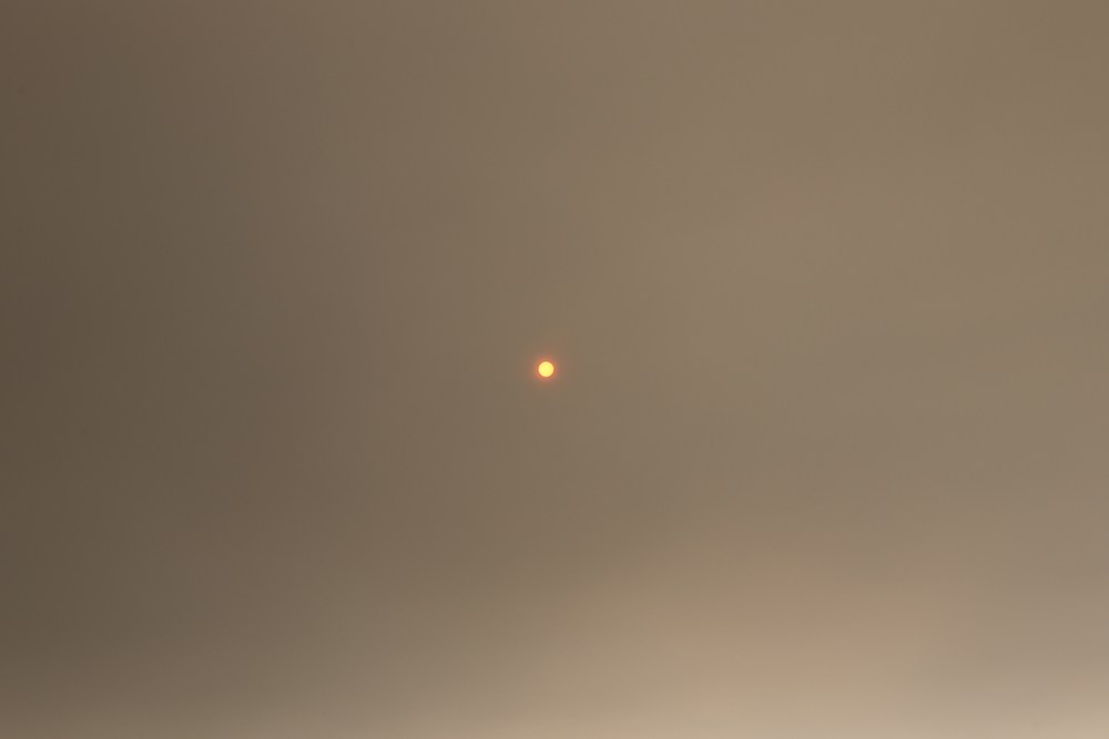 Сибирский путь. Julia Altukhova, multimedia artist