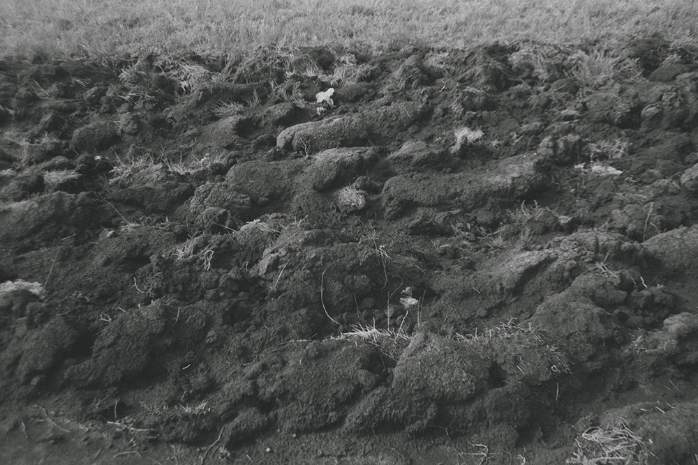 Сибирский путь. Julia Altukhova, multimedia artist