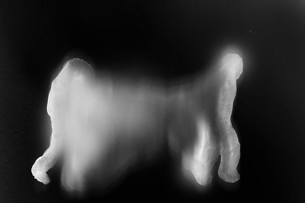 Сибирский путь. Julia Altukhova, multimedia artist