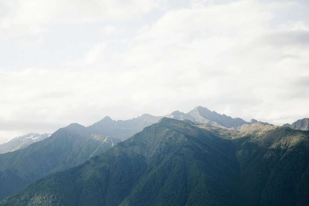 Feedback. Wedding and family photographer in Moscow