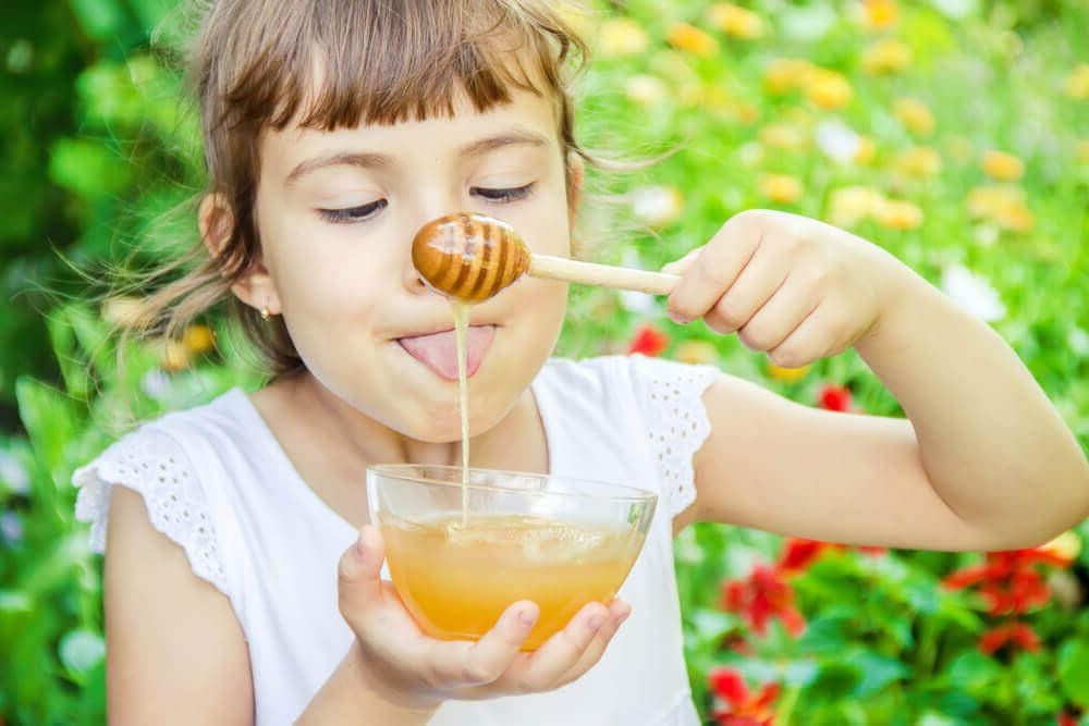 Мед детям. Эко отдых в Подмосковье в эко-отеле Марии Гиппенрейтер