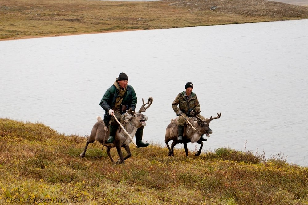 Хребет Черского