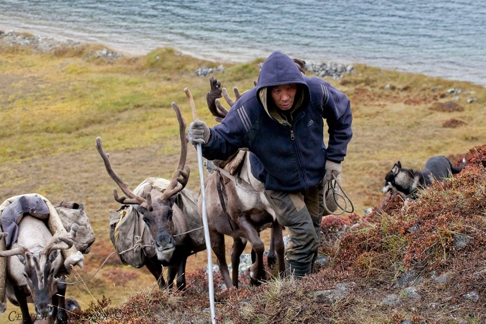 Хребет Черского