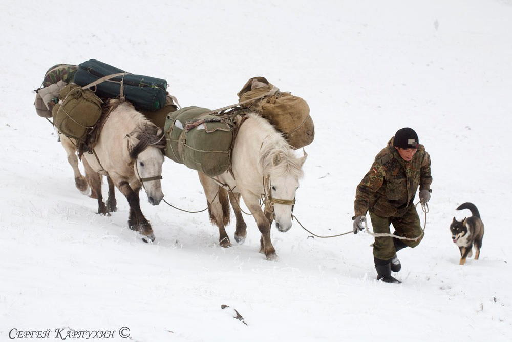 Хребет Черского