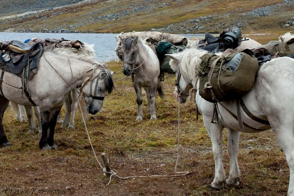 Хребет Черского