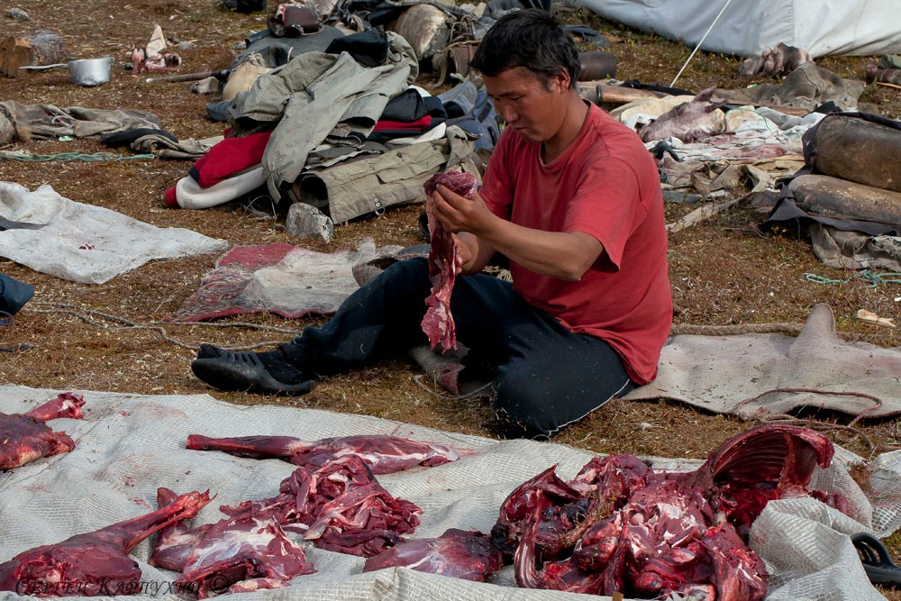 Хребет Черского