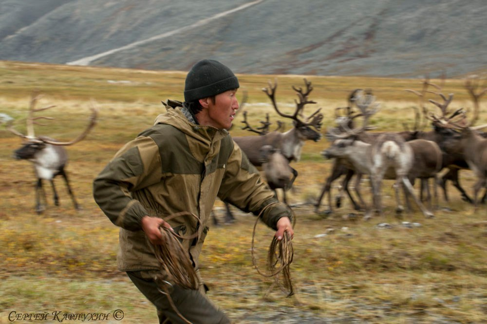 Хребет Черского