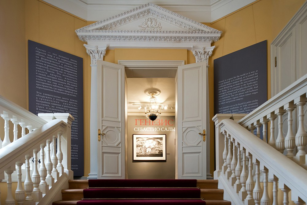 Где фотографироваться если идет дождь. Фото Радости. Свадебный и семейный фотограф в Москве Юлия Самойлова