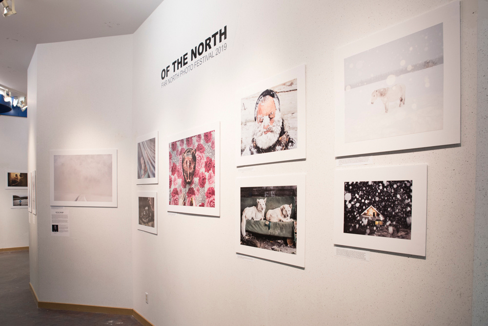 Far North Festival / Yellowknife, Canada. Елена Аносова — художница и исследовательница, куратор и лектор