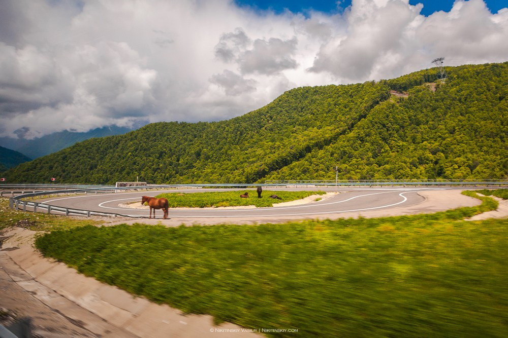 Красивые локации в Сочи для фотосессии. Отельный интерьерный фотограф Сочи