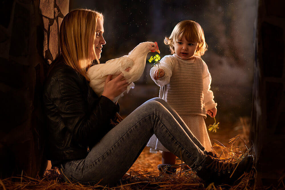 Online Course in English. Елена Шумилова