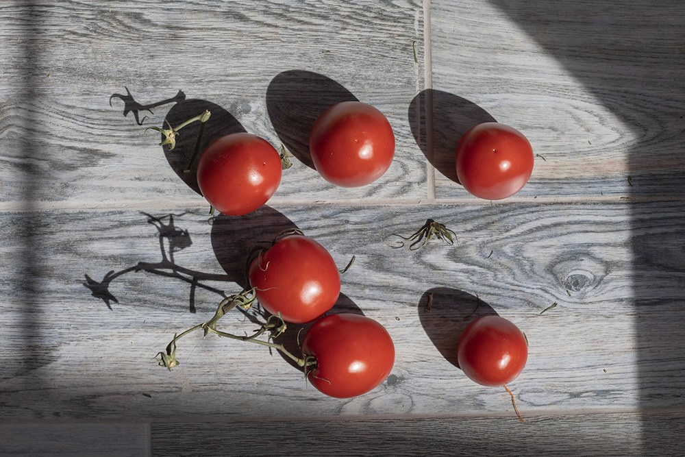 ФОТОсинтез. Могилевцева Дарья фотограф междисциплинарный художник