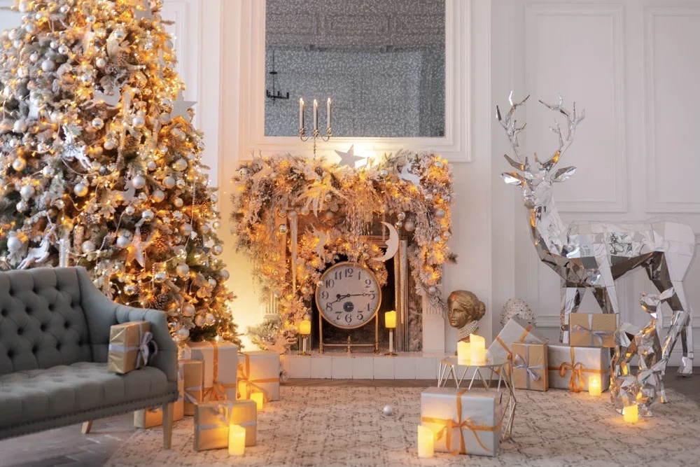 Новогодние фотосессии в Москве 2023. Профессиональная фото и видеосъемка. Москва