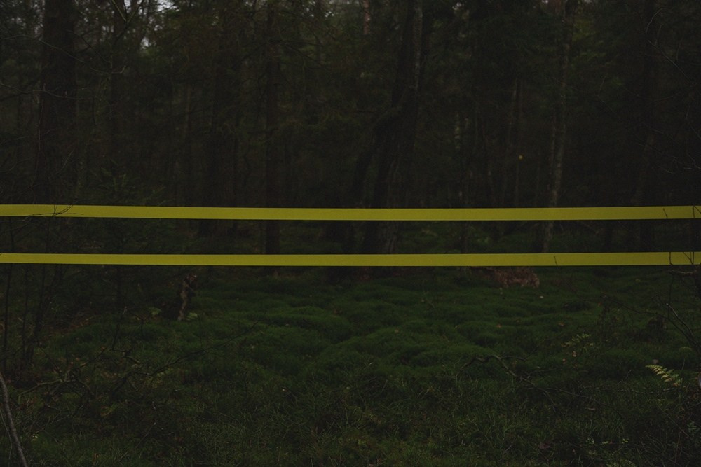 Дневник. Михаил Барановский