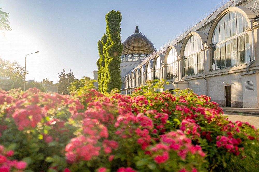 Разбор локаций ВДНХ. Свадебный фотограф в Москве Анастасия Шелест