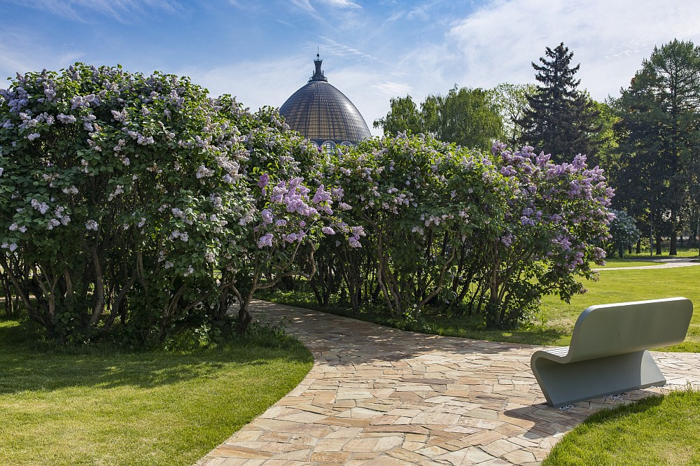 Разбор локаций ВДНХ. Свадебный фотограф в Москве Анастасия Шелест