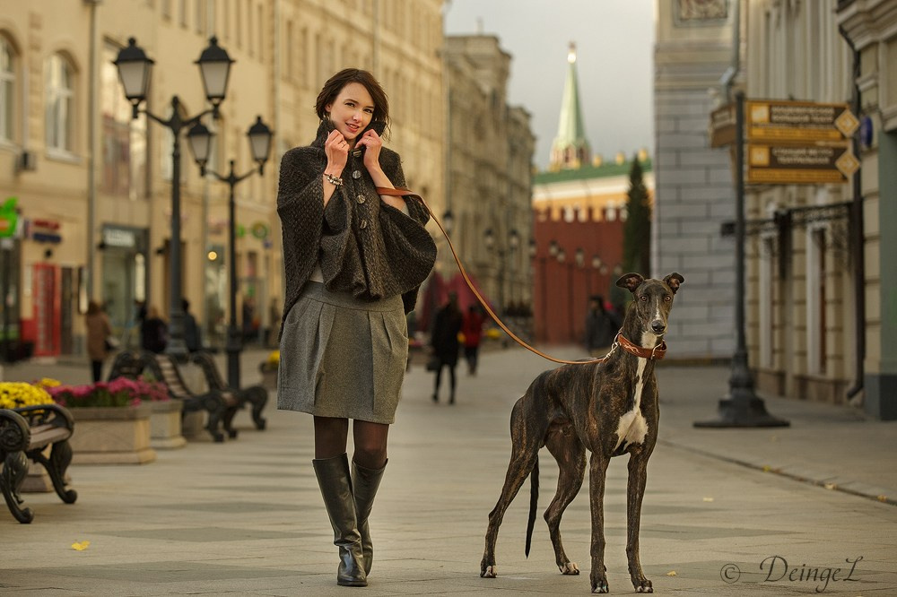 Выбираем тип съёмки. Фотограф-анималист Natalia Deingel | Фотосъемка собак в Москве