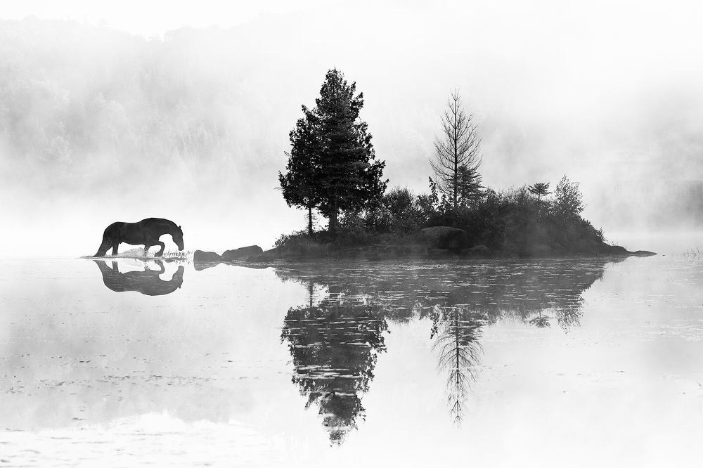 Композиция в фотографии