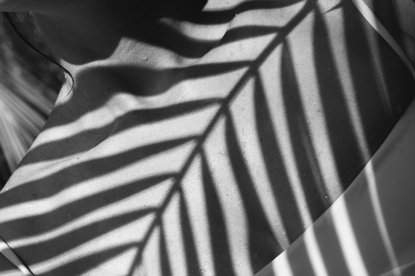 ANASTASIA SYUTKINA PHOTOGRAPHY