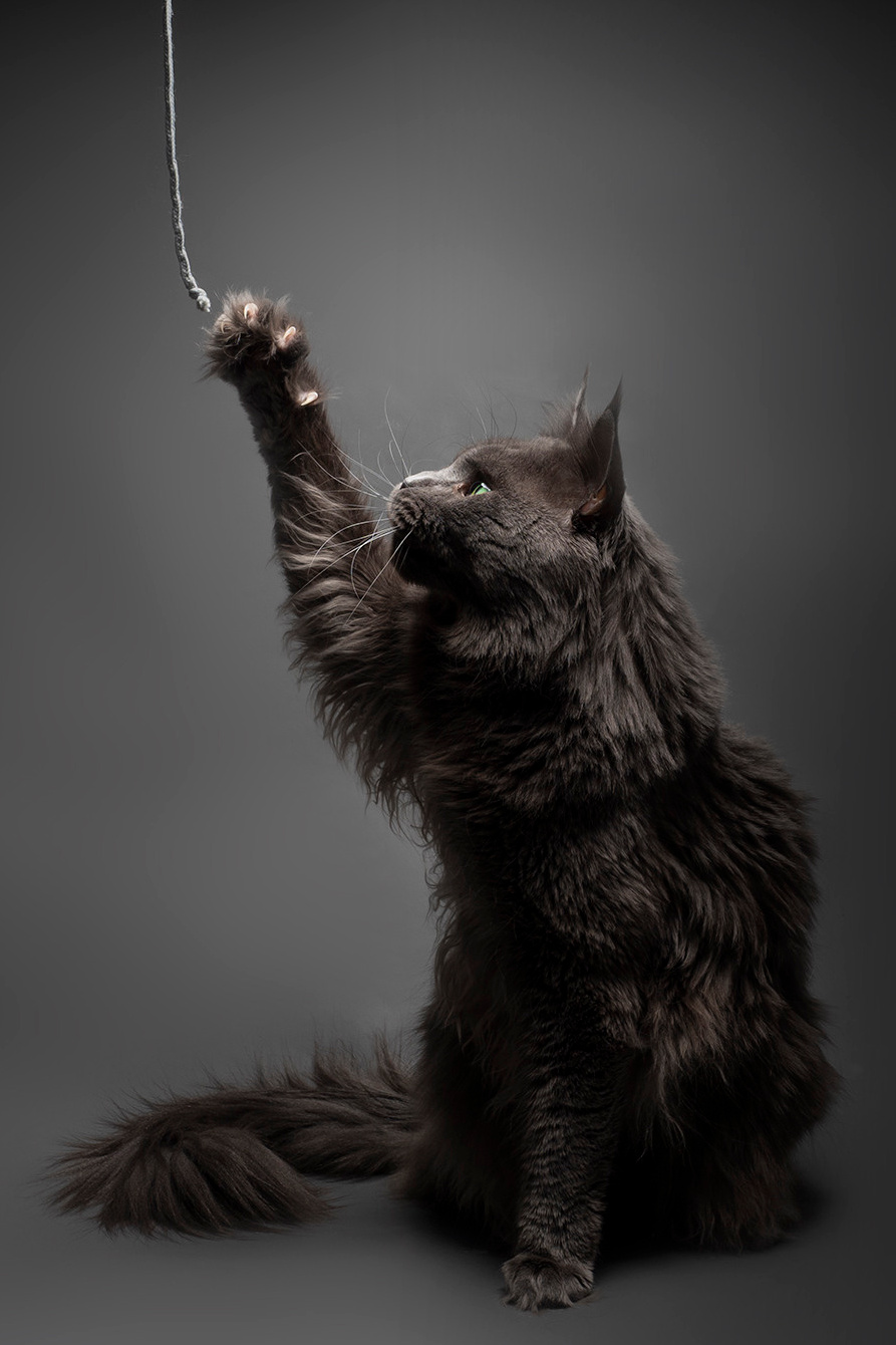 Прайс. Семейные фотографы в Екатеринбурге Анна и Александр A&A Best Foto