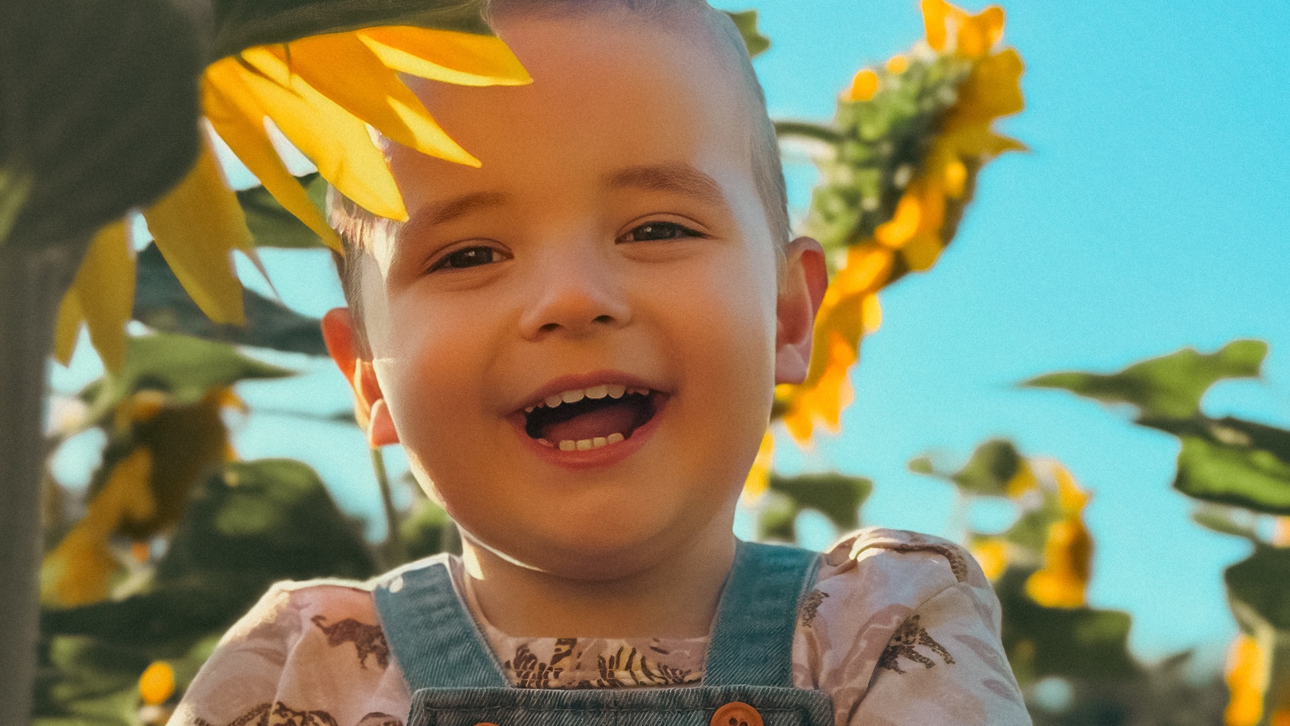 Часто задаваемые вопросы. Главная