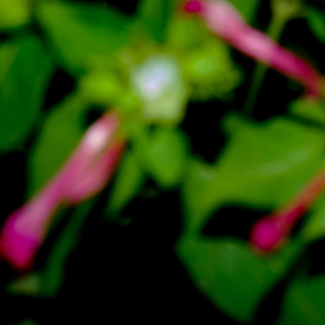 ПРОЕКТЫ. Ирина Ленькова художница