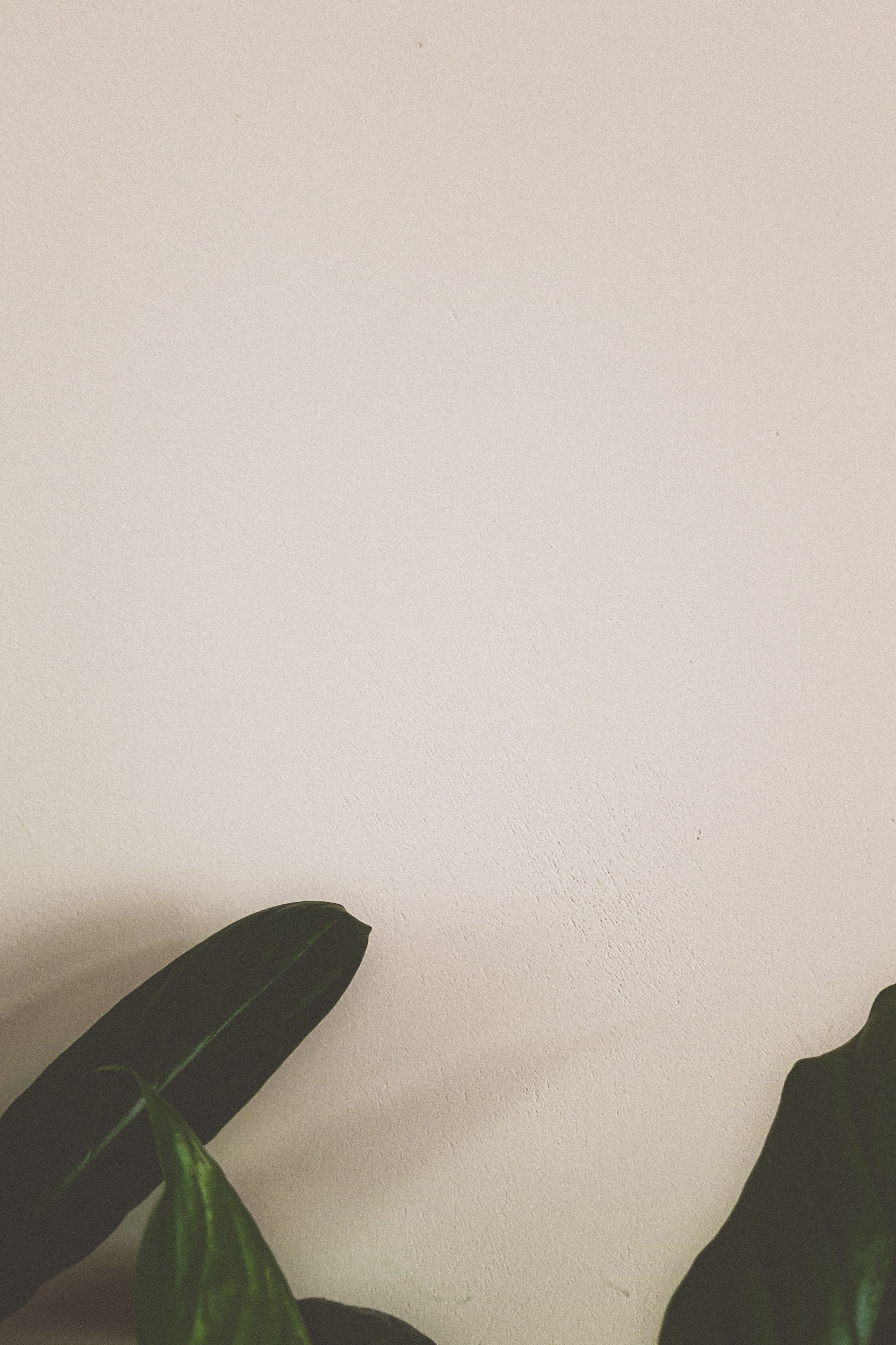 Gallery «IN». Artista Nazarova. Universe strings singing