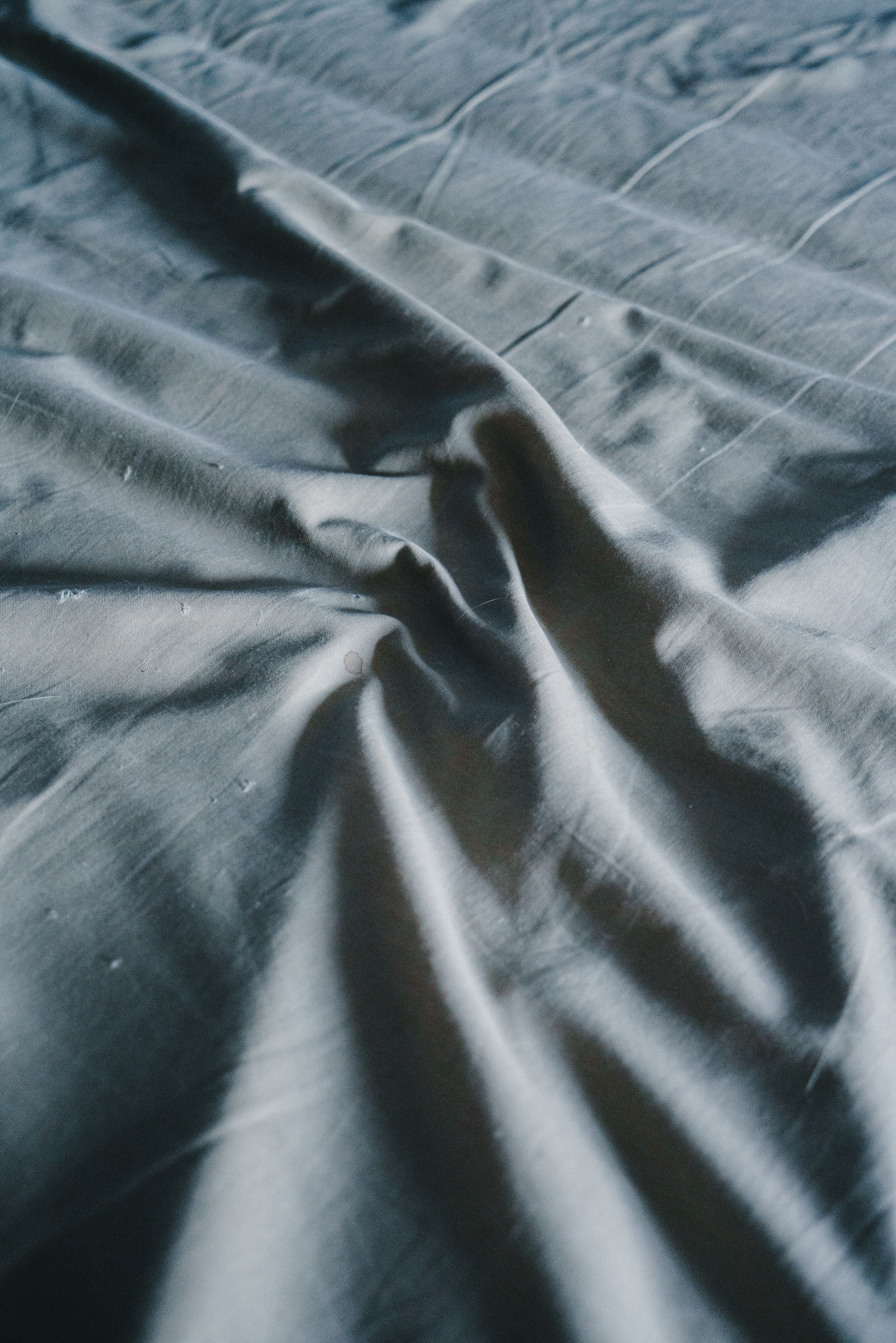 Эффект присутствия. Козлова Екатерина. Междисциплинарная визуальная художница