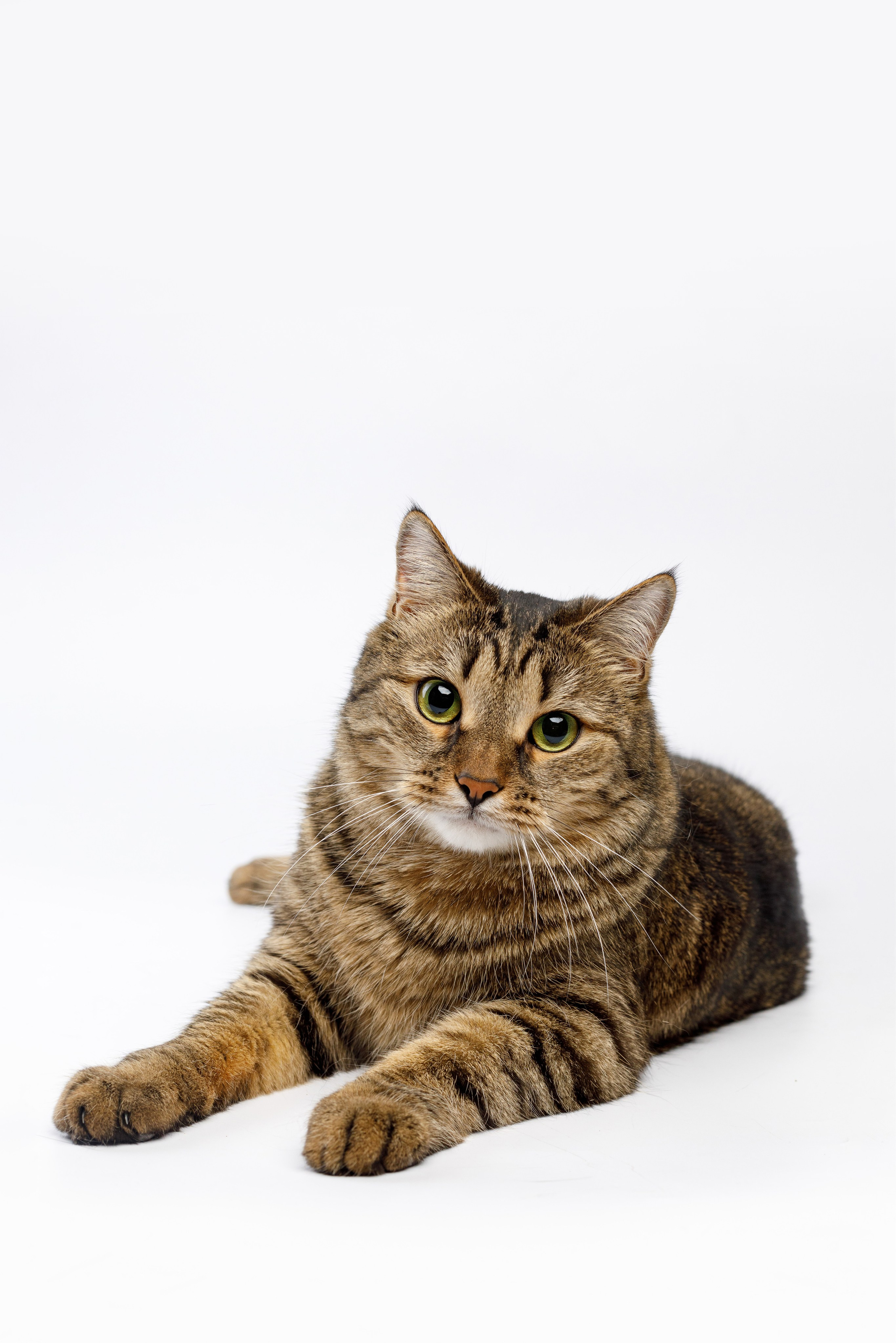 Фотограф Владимир Зиновьев