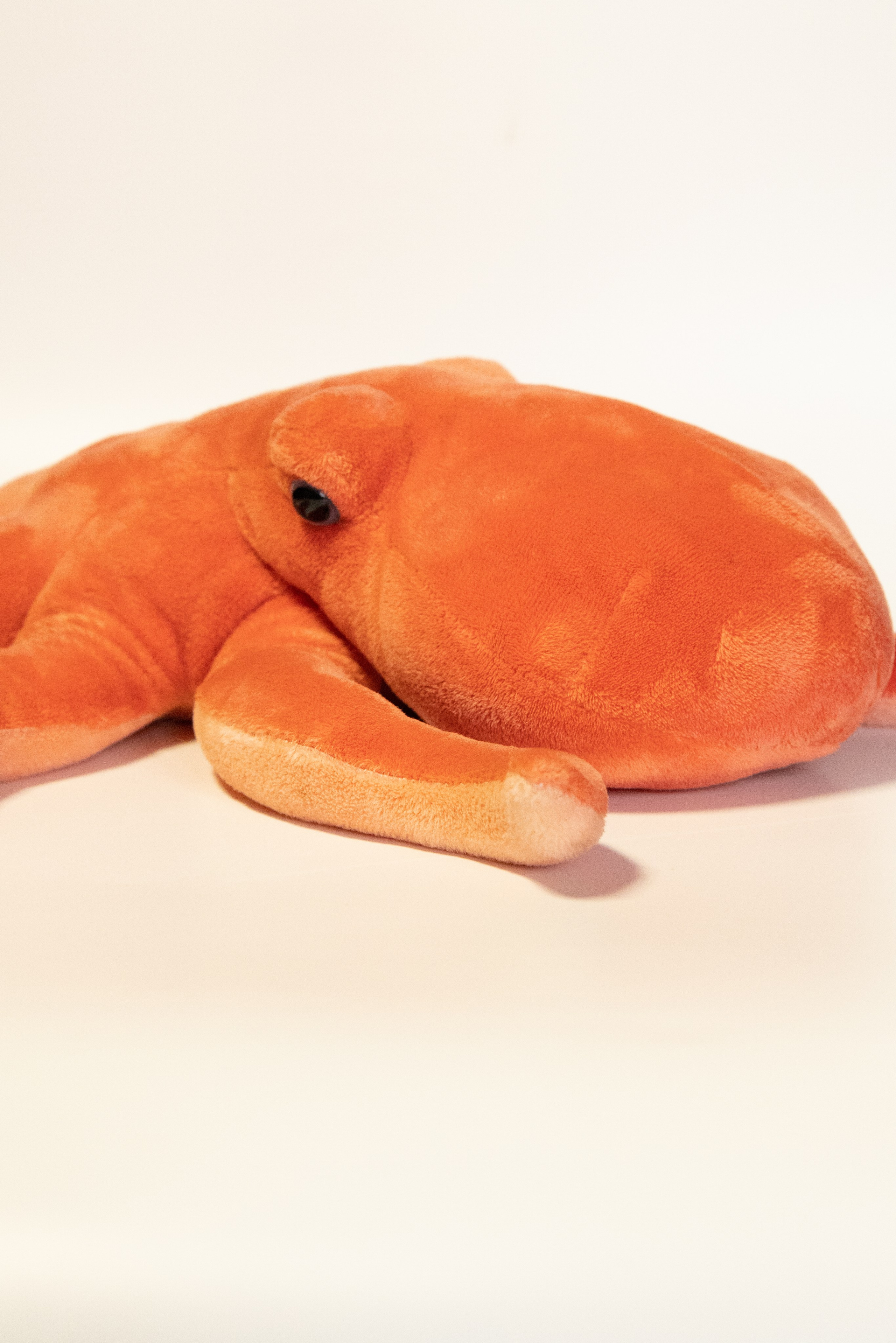 Почему цвет товара отличается на фотографиях и в жизни: ошибки предметной фотосъёмки и как их избежать. Предметный фотограф в Москве и Московской области