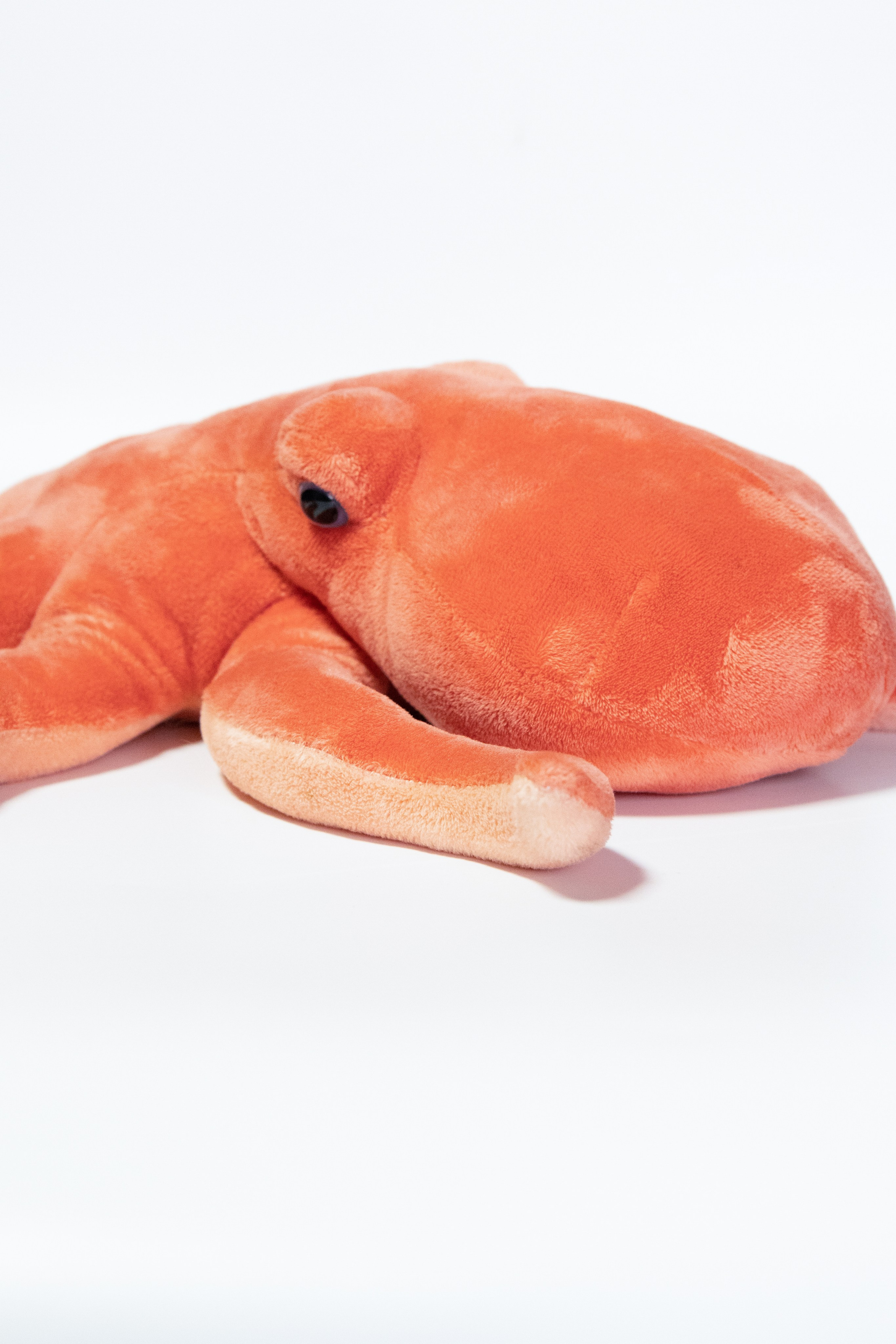 Почему цвет товара отличается на фотографиях и в жизни: ошибки предметной фотосъёмки и как их избежать. Предметный фотограф в Москве и Московской области