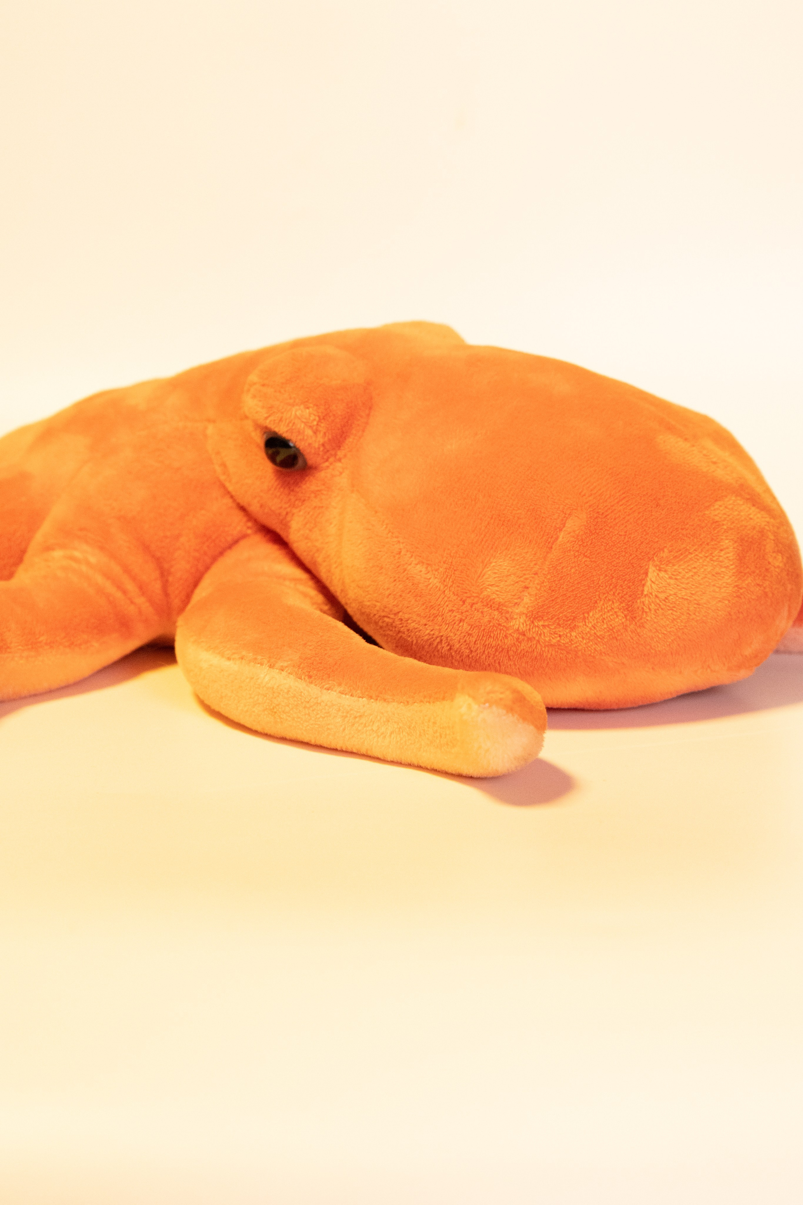 Почему цвет товара отличается на фотографиях и в жизни: ошибки предметной фотосъёмки и как их избежать. Предметный фотограф в Москве и Московской области