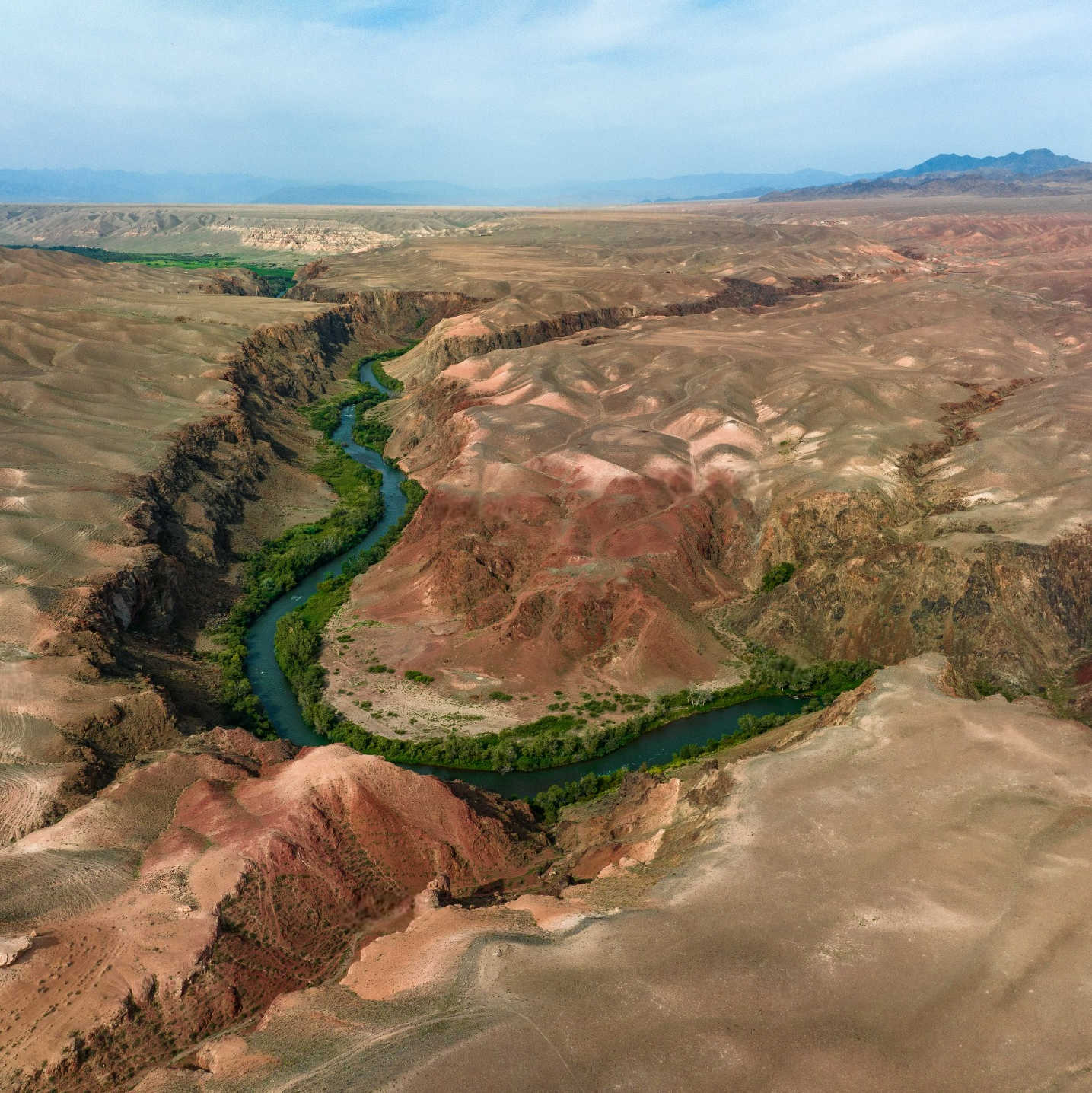 Панорамный вид с высоты на извилистый зеленый поток реки, протекающий через засушливый, холмистый Черный каньон с красноватыми и песчаными оттенками. Река Чарын выделяется своей яркой зеленью, благодаря растительности вдоль берегов, контрастирующей с окружающим пустынным рельефом. На заднем плане виднеются горы и более ровные участки долины недалеко от Алматы в Казахстане.