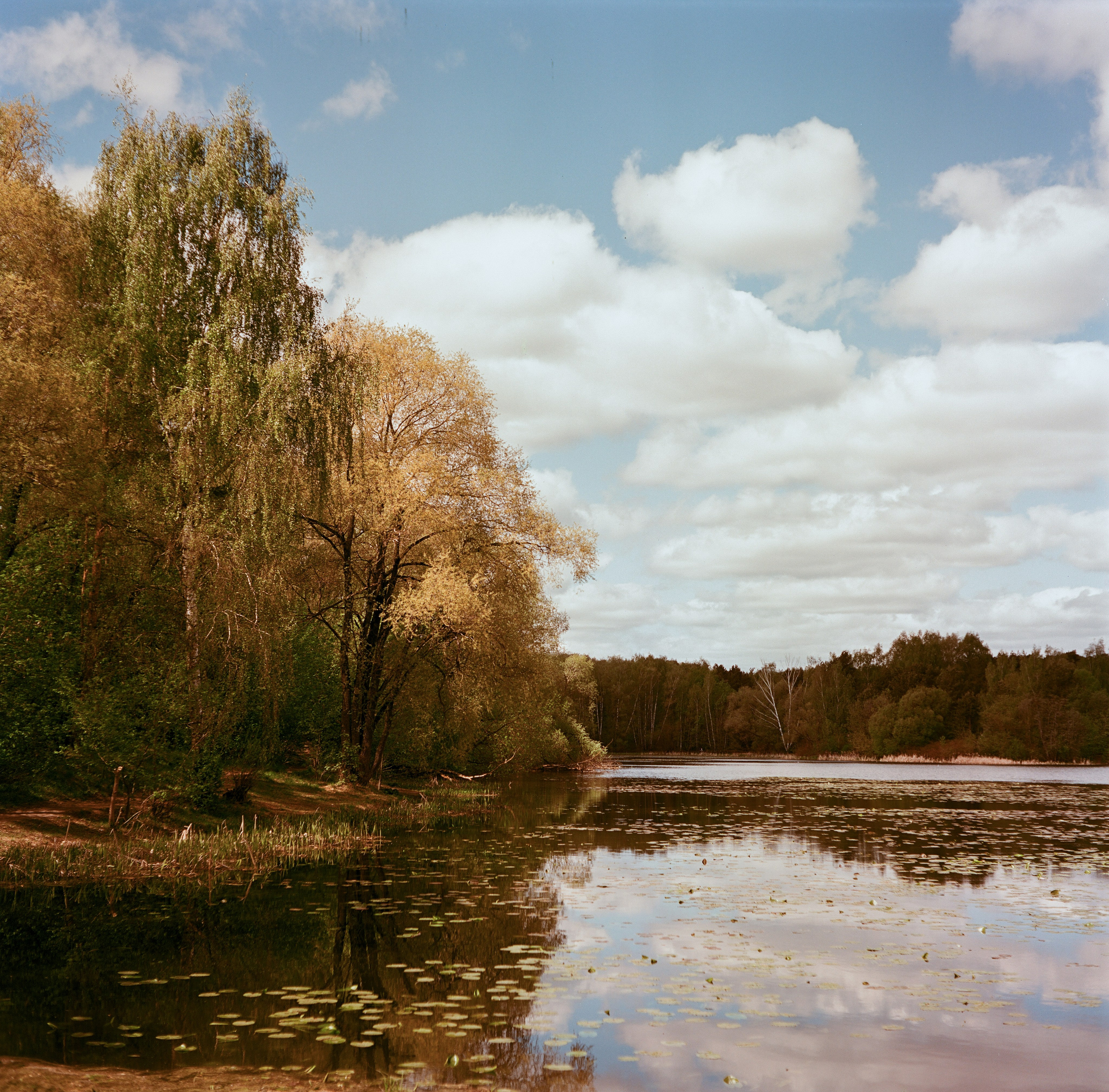 Фотография на средний формат