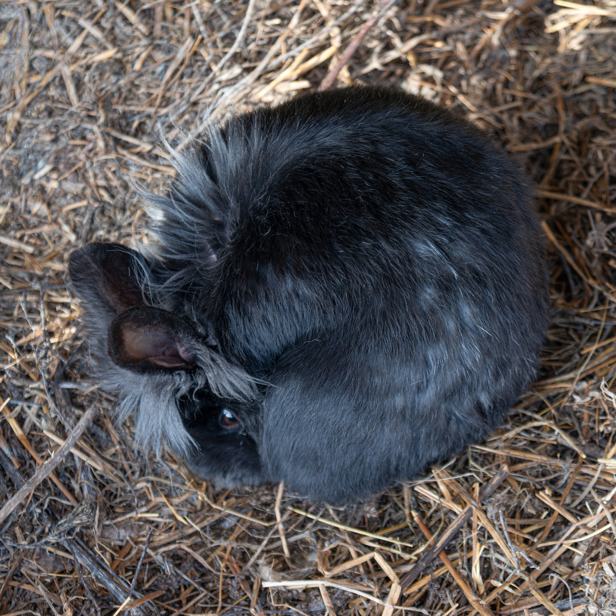 Прогулка до Мичуринских прудов. Фотограф Евгений Серебряков в Екатеринбурге