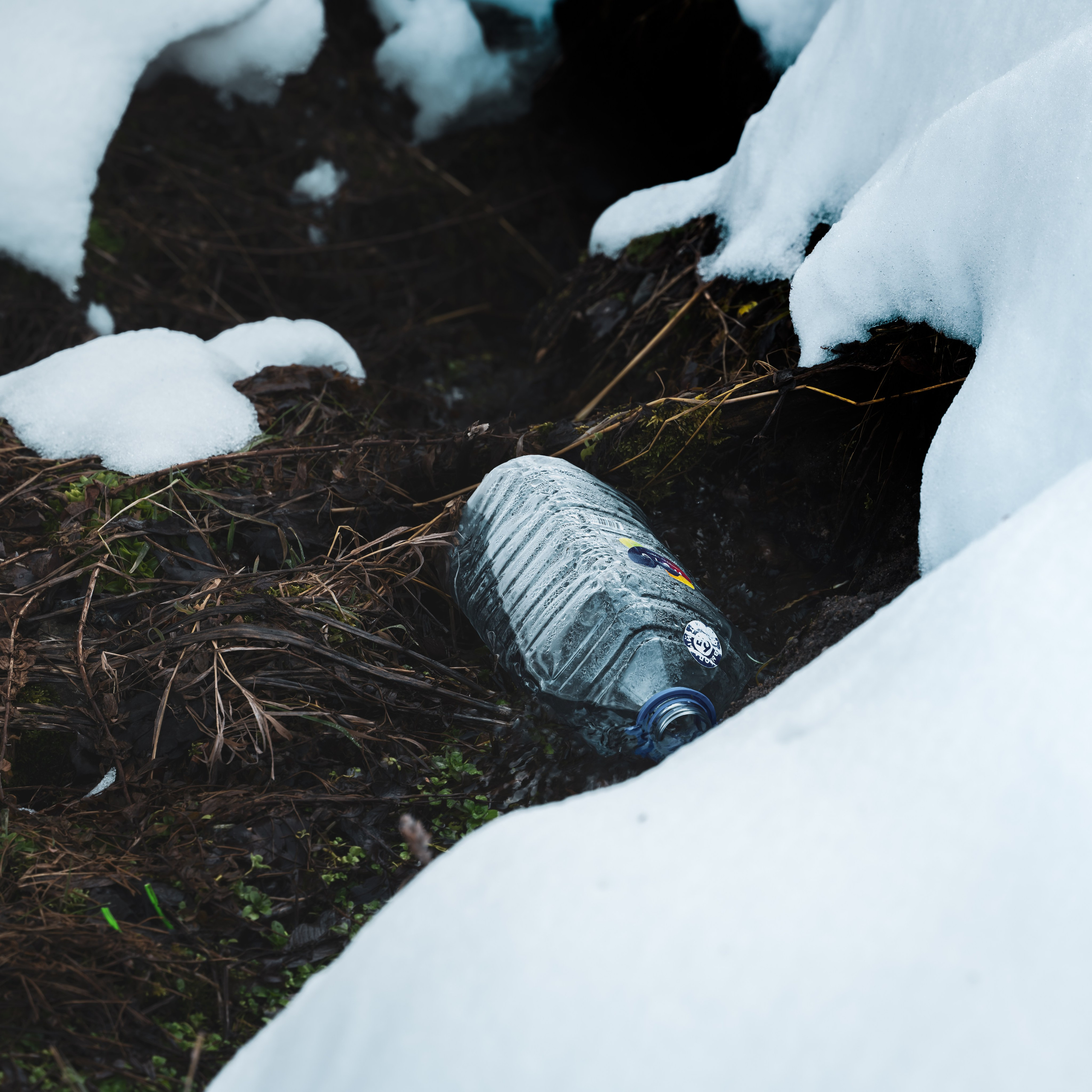 Код пространства. Картины о красоте, культурных ценностях и традициях Казахстана