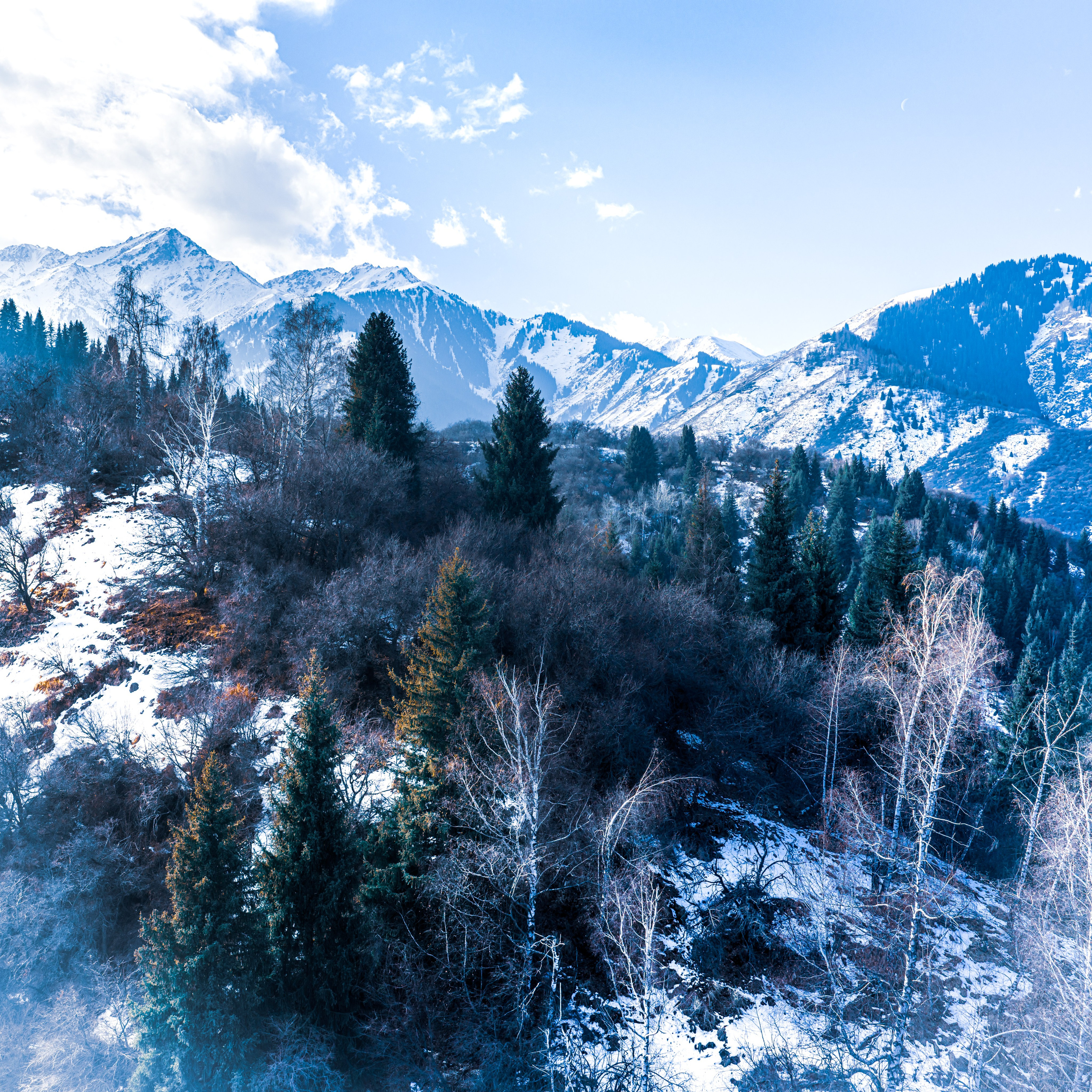 Код пространства. Картины о красоте, культурных ценностях и традициях Казахстана