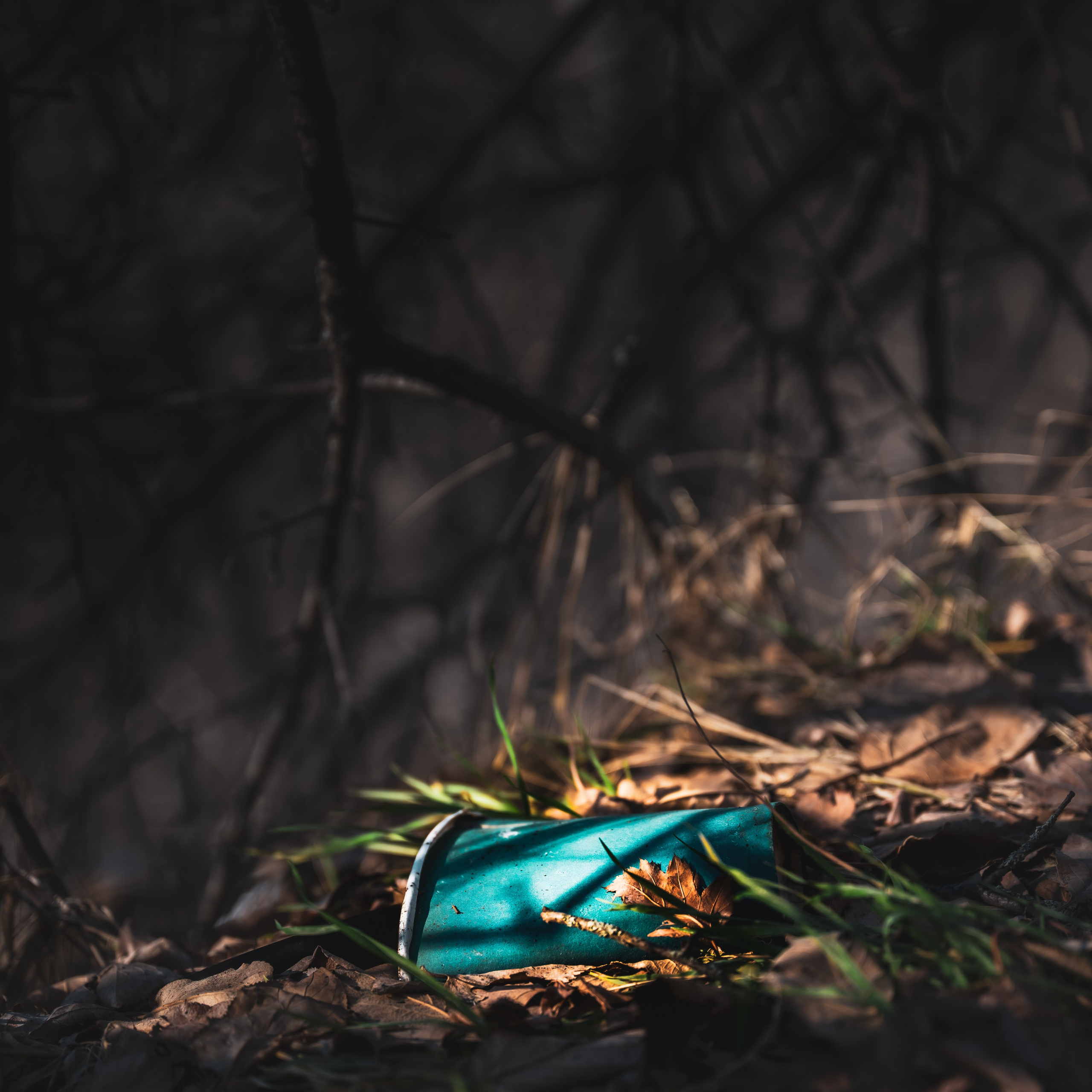 Код пространства. Картины о красоте, культурных ценностях и традициях Казахстана