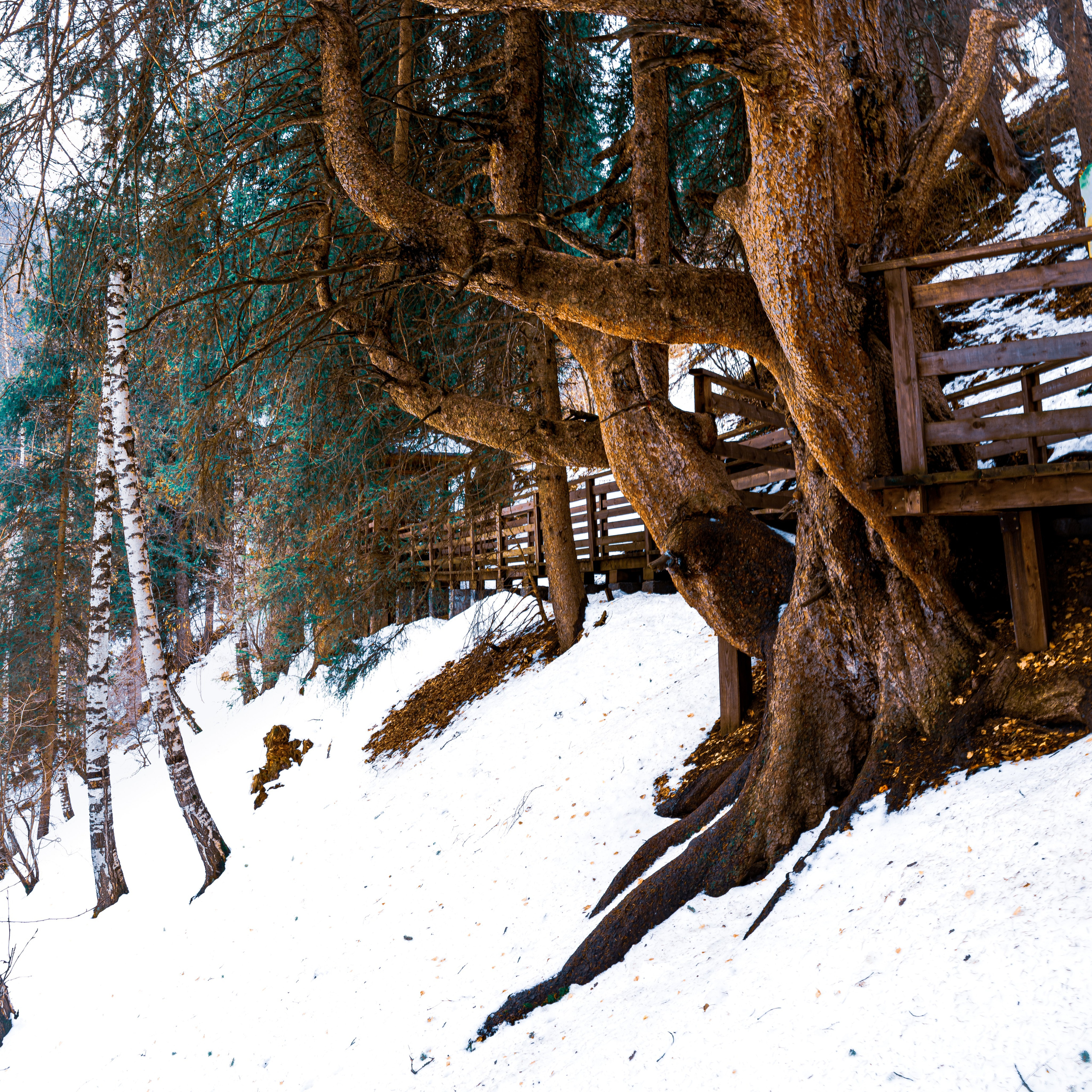 Код пространства. Картины о красоте, культурных ценностях и традициях Казахстана