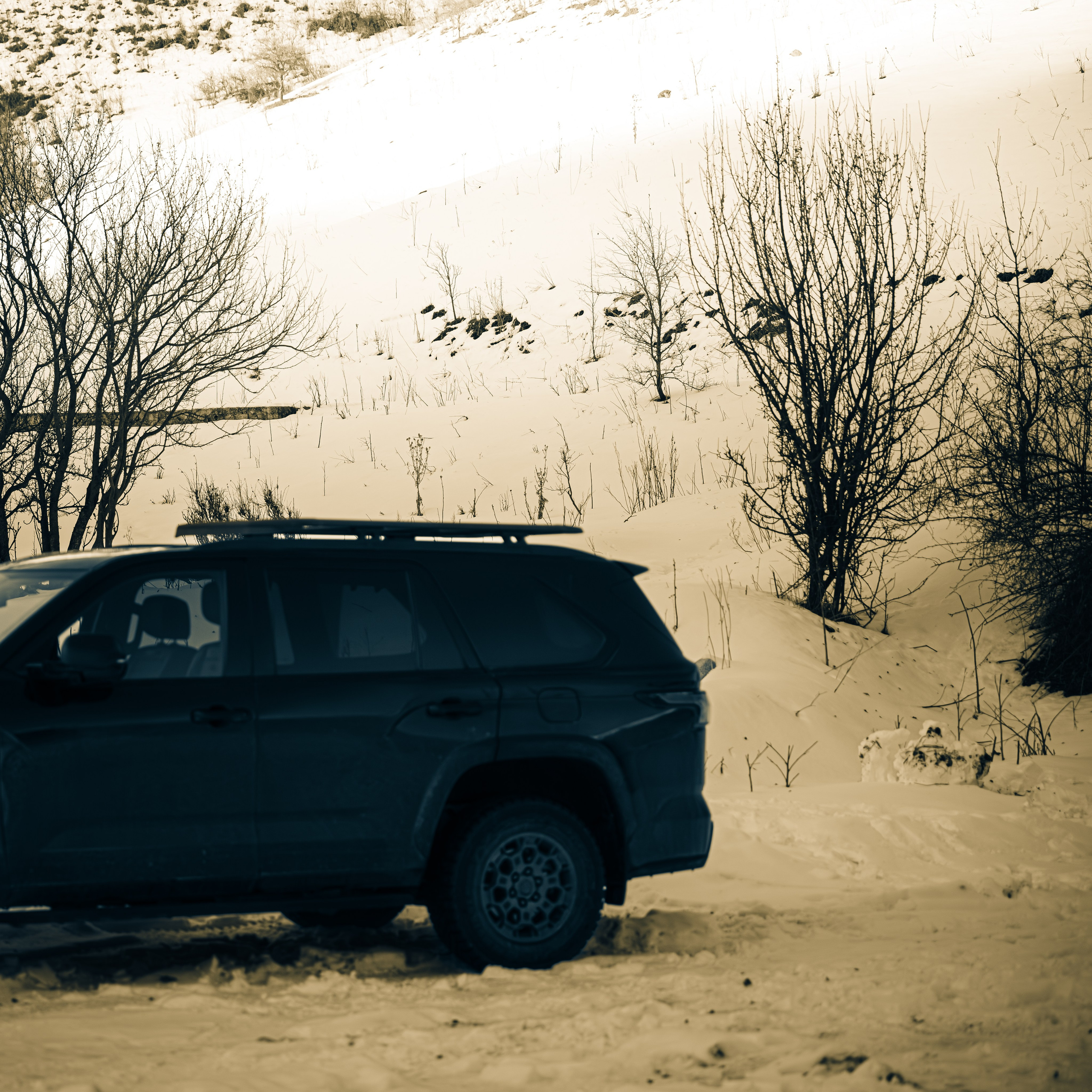 Код пространства. Картины о красоте, культурных ценностях и традициях Казахстана