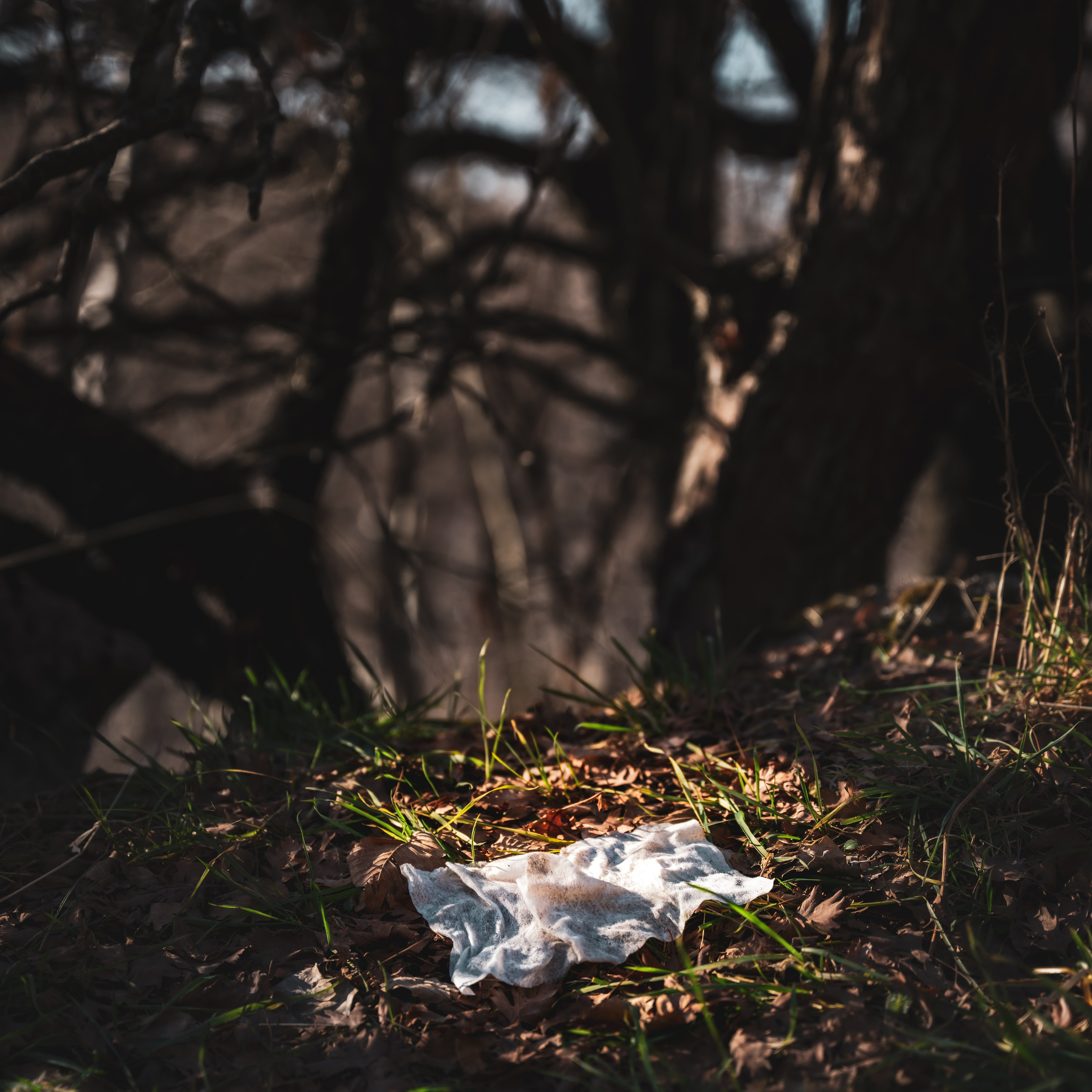 Код пространства. Картины о красоте, культурных ценностях и традициях Казахстана