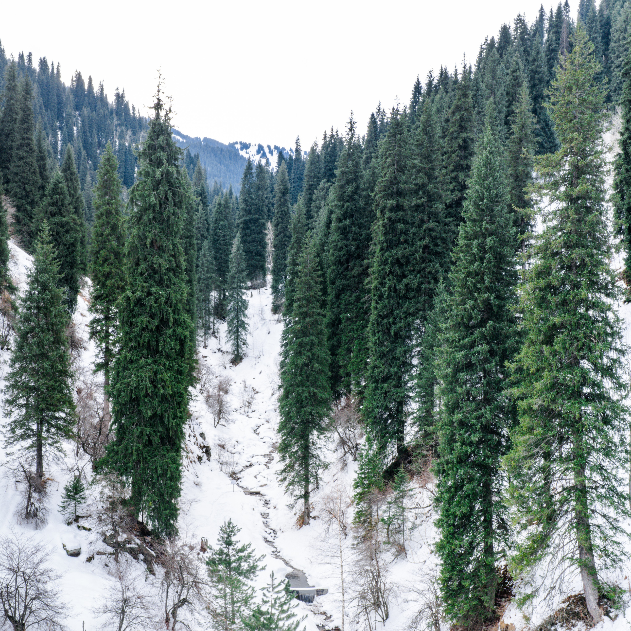 Код пространства. Картины о красоте, культурных ценностях и традициях Казахстана