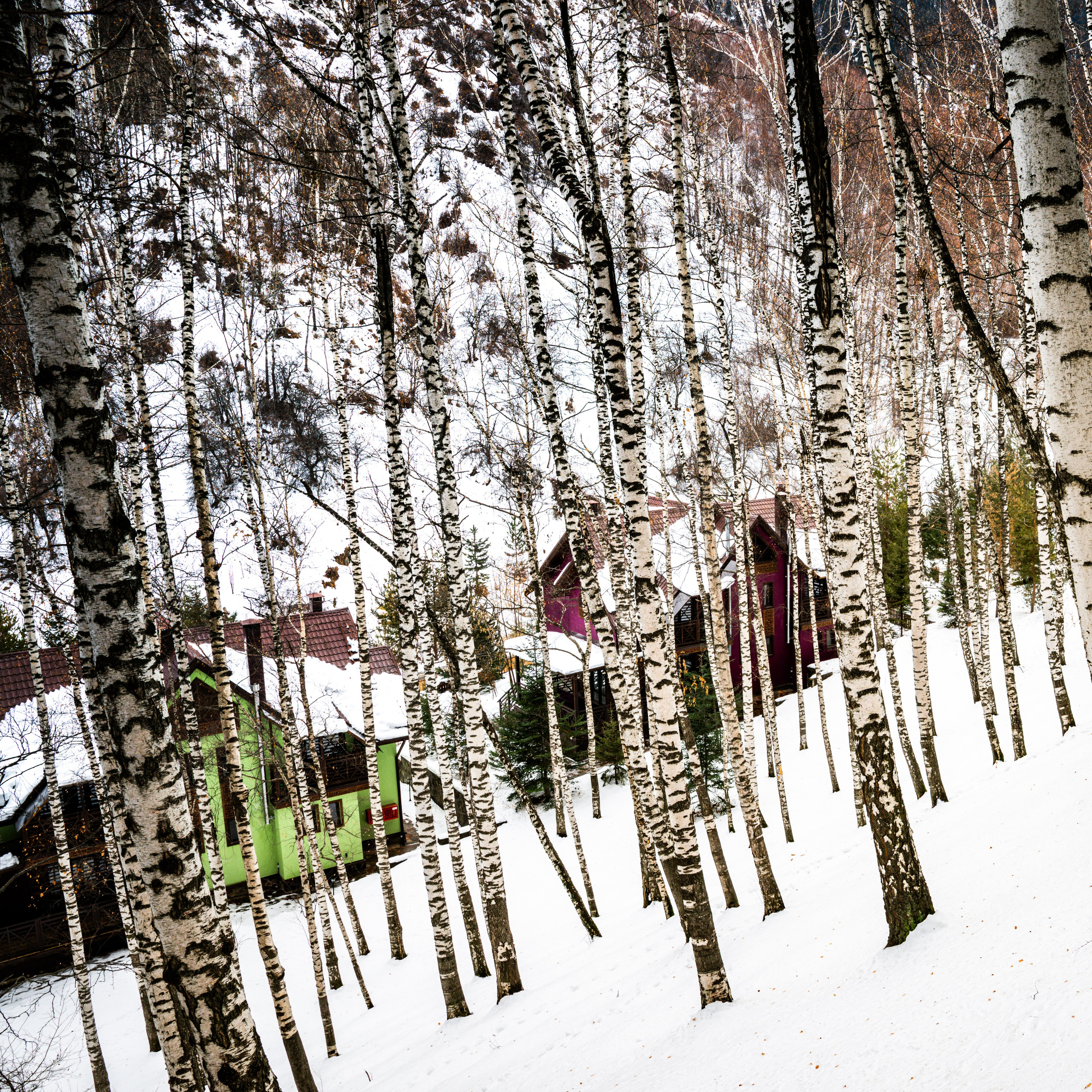 Код пространства. Картины о красоте, культурных ценностях и традициях Казахстана