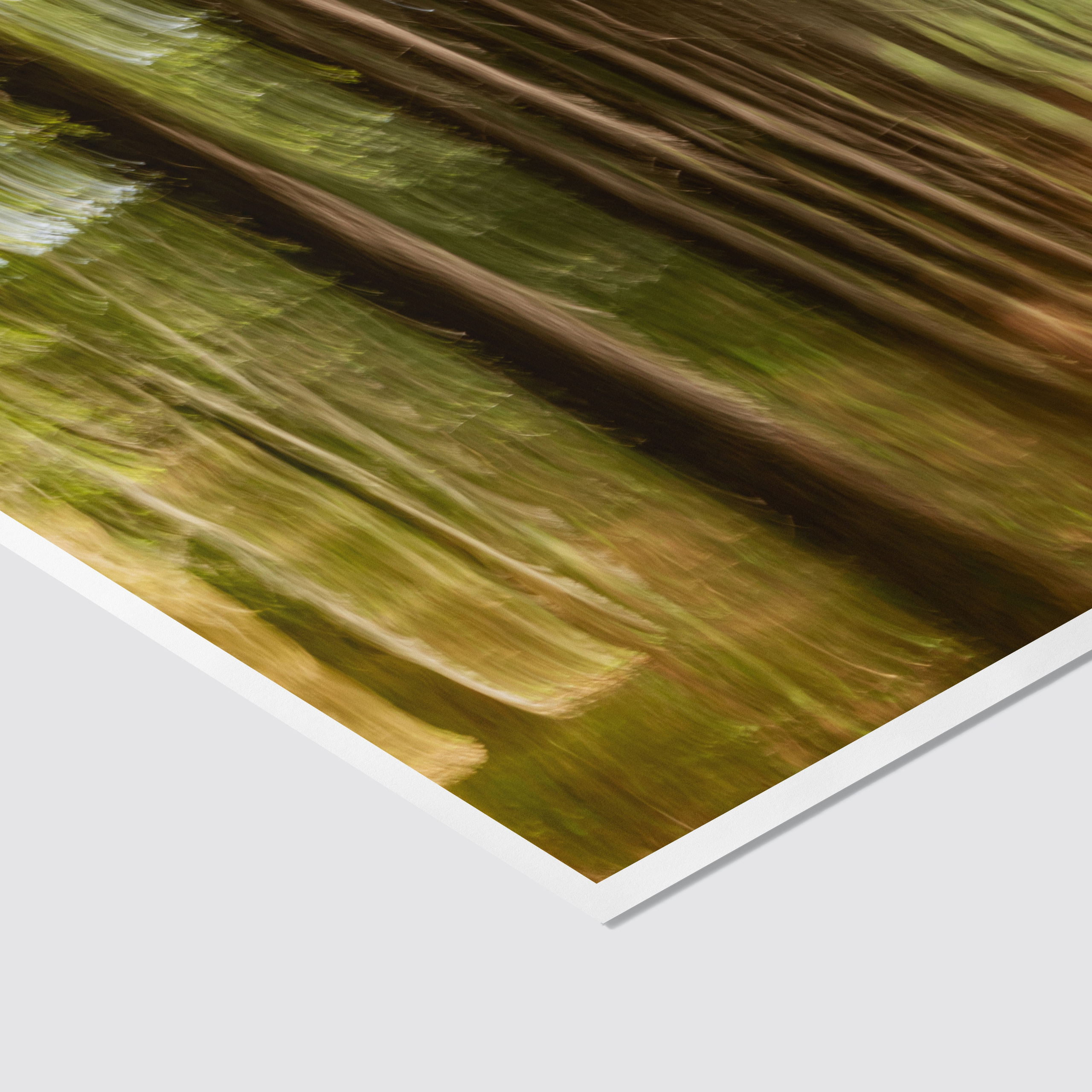 Абстрактная картина в интерьер. Лесной пейзаж. Арт-фотограф. Фотосъемка, авторские принты для интерьера