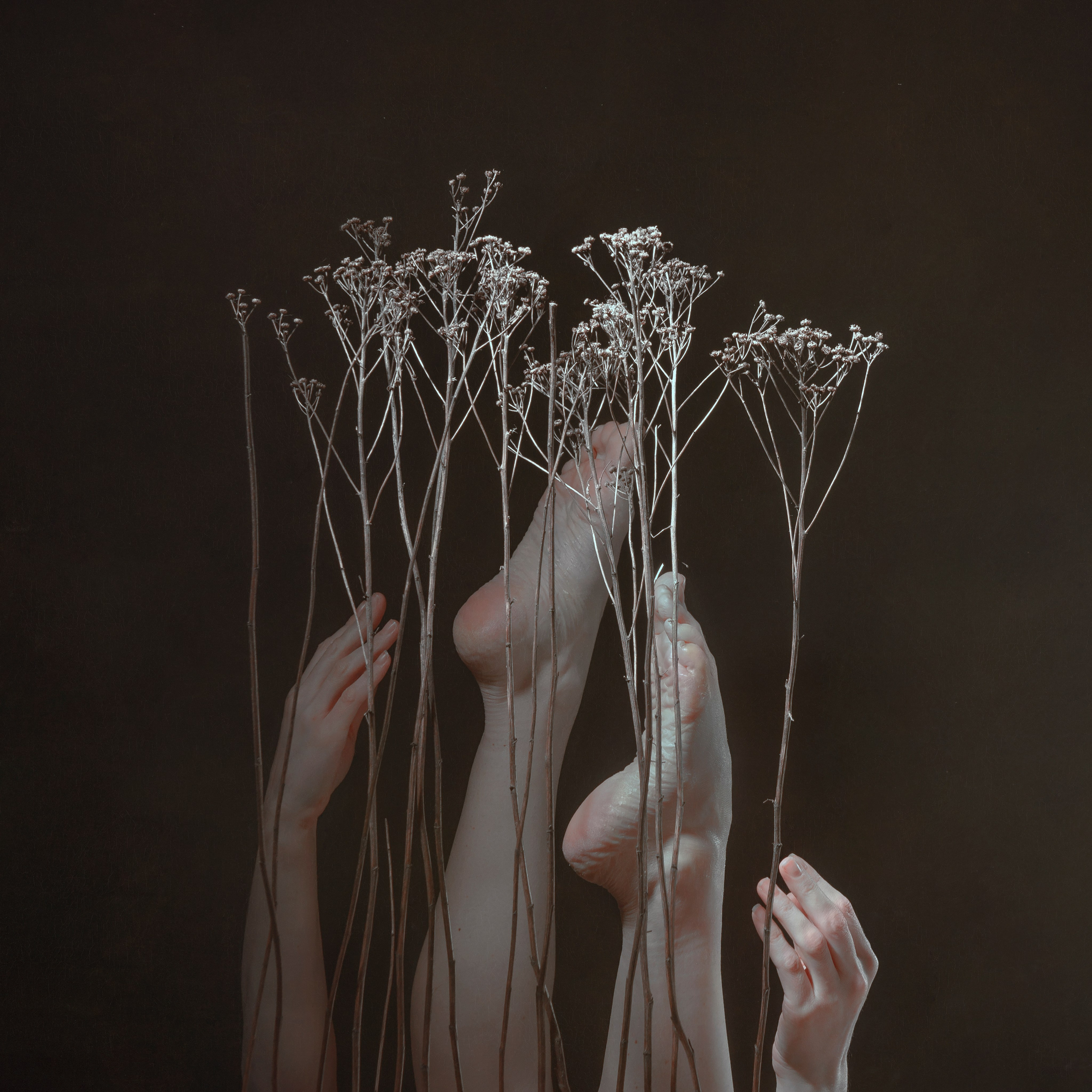 Работы приобрести. Фотохудожник АРТ-фотограф Ира Будниченко Москва